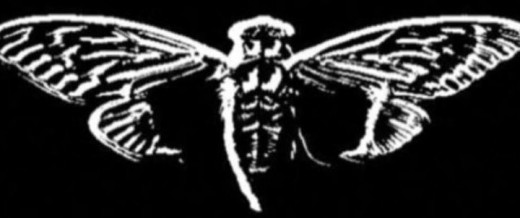 cicada 3301