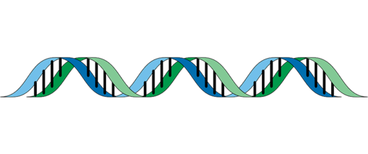 DNA