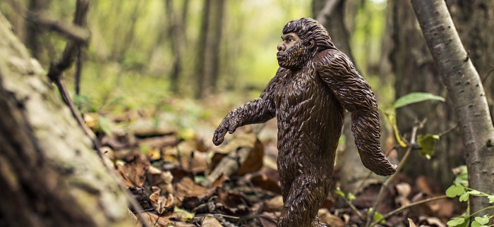 bigfoot