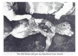 Del Norte Cattle Mutilation